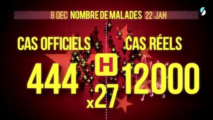 Coronavirus : confinements solidaires (Data Gueule)
