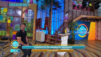 ¡Increíble experiencia de niños con los manatíes en su entorno natural! | Venga La Alegría
