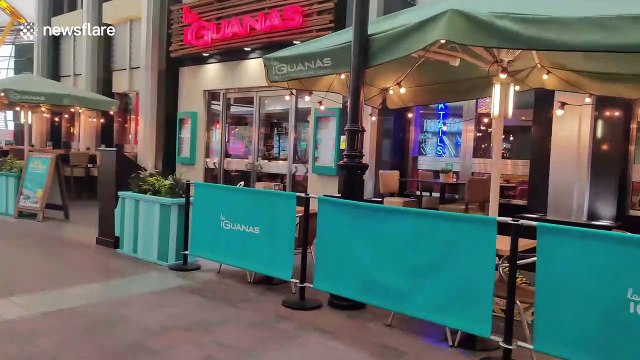 Greenwich deserted after Boris Johnson advises people to work from home during COVID-19 pandemic