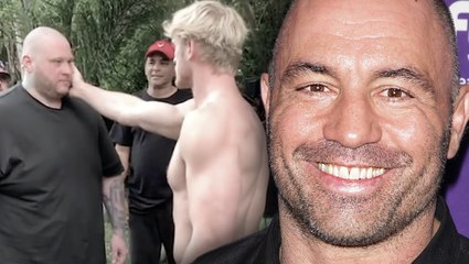 Joe Rogan Reacts To Logan Paul Viral Knock Out