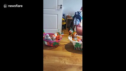 Adorable baby boy in Ireland celebrates isolated St. Patrick Day's Parade