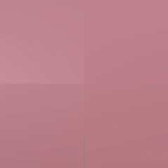 Germany fans react to Euro 2020 postponement