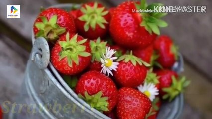 Best Foods to Strong immune system | Coronavirus Prevention