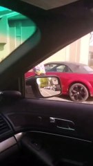 Dog Powered Skateboard Pulled Along Street