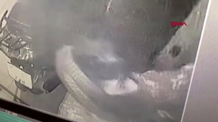 HATAY Hırsızlık şüphelisi bekçilerin takibiyle yakalandı