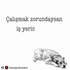 Koronavirüs | 'Evde Kal' ama duyarsız kalma