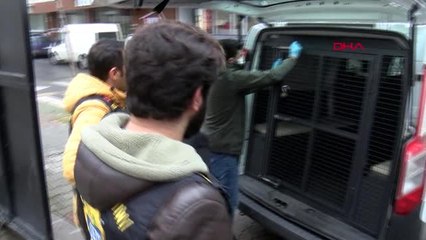 İSTANBUL'DA UTANDIRAN GÖRÜNTÜ; ŞÜPHELİ ADLİYEYE SEVKEDİLDİ