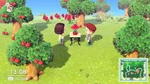 Animal Crossing New Horizons - glitch de duplication d'objets