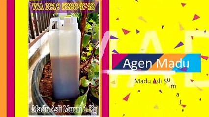 Jual Madu Asli Majalengka WA 0819 5288 4742