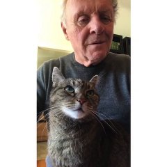 Anthony Hopkins le toca el piano a su gato por puro aburrimiento