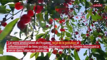 Pollution, hygiène… Les maigres conséquences positives du coronavirus