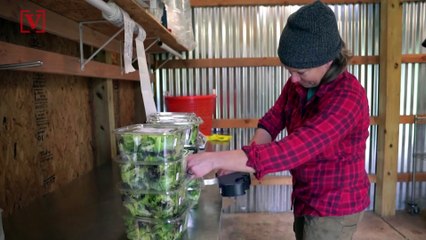 Buying Produce from Rural Farmers Is Growing in Popularity Amid Coronavirus Outbreak