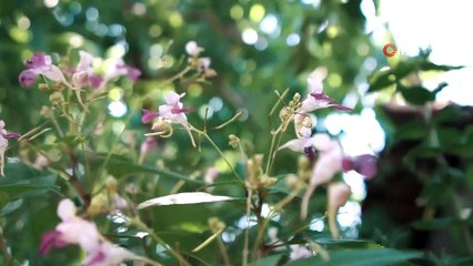 Çorlu’nun köyleri belgesel oluyor
