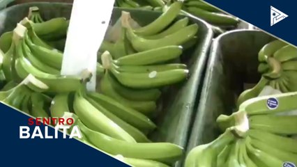 DOH: 7 COVID-19 patients sa bansa, gumaling na