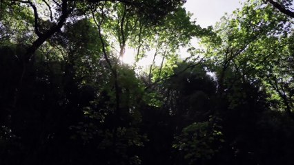 Segnati da Dio St.01x01 - San Francesco d'Assisi