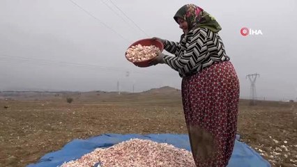 Prof. Dr. Nilay Çöplü: "Vücut direnci için sarımsak ve soğan tüketin"