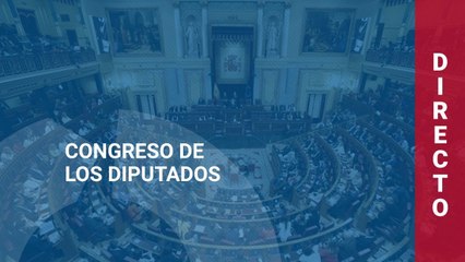 Pedro Sánchez comparece en el Congreso de los Diputados