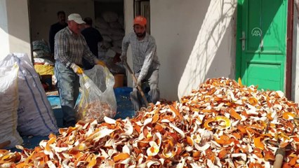 Yılda 300 ton portakal kabuğunu ekonomiye kazandırıyorlar - OSMANİYE