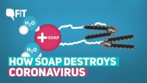 How Soap Destroys Coronavirus