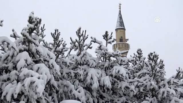 Kar yağışı etkisini sürdürüyor - KARS