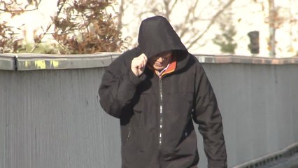 [날씨] "가로수 부러지는 강도"...내일 태풍급 강풍 분다 / YTN