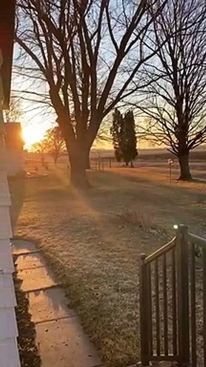 Un bus d'écoliers souhaite un joyeux anniversaire à une vieille dame