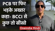 Shoaib Akhtar slams PCB, Says learn something from BCCI and other cricket boards | वनइंडिया हिंदी