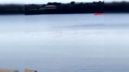 SİNOP Yaban kuşunu pompalı tüfekle vurmaya çalıştı aranıyor