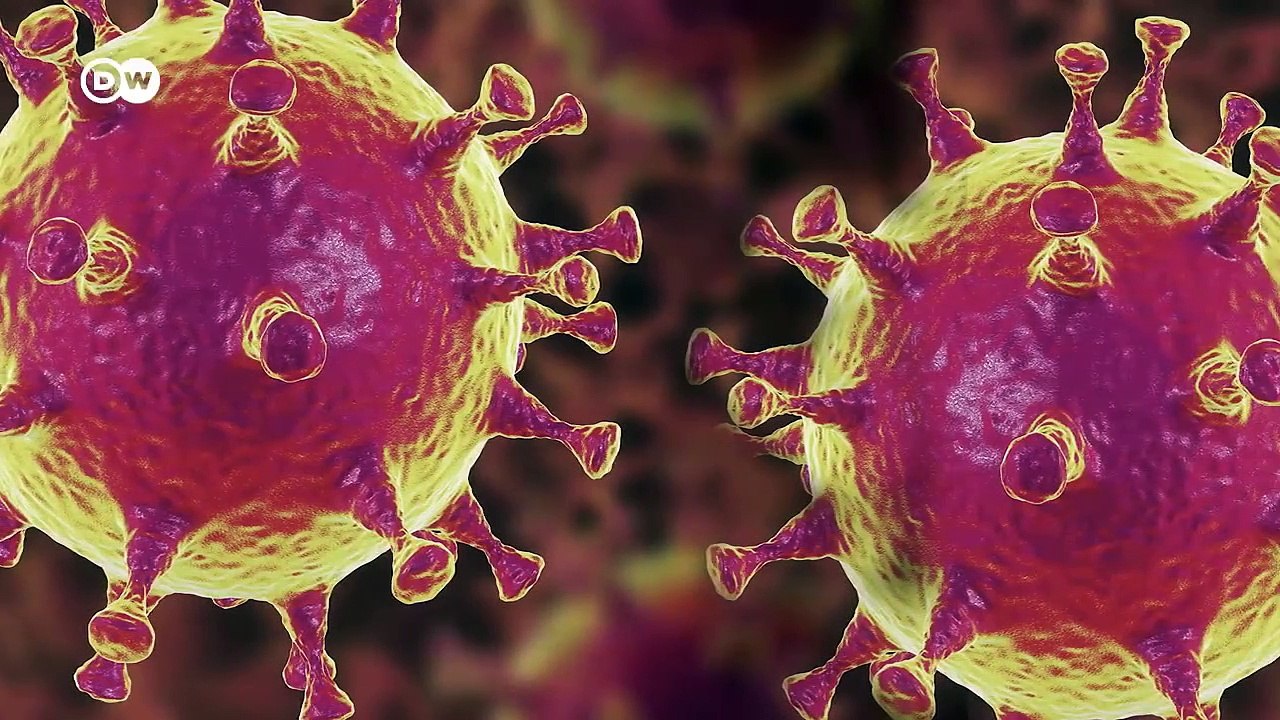 Corona virus explained-please watch
