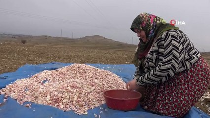 Prof. Dr. Nilay Çöplü; “Vücut Direnci İçin Sarımsak ve Soğan Tüketin”