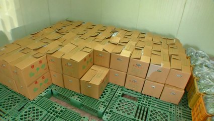 개학 연기에 갈 곳 잃은 농산물...급식 업체도 비상 / YTN