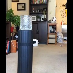 Quarantine Trick Shots to Pass the Time