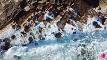 Best Motivational Speech 2020 _ 20 Minutes Mindfulness Meditation - Section II