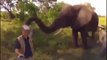 The Loving Elephants | Los Elefantes Más Carñosos