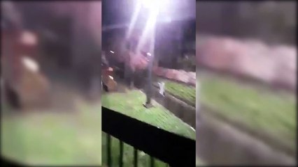 Watch as Leith locals blast out Sunshine on Leith from flat windows