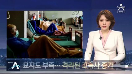 사망자 급증한 이탈리아, 묘지도 부족해 교회 안치