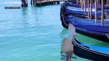 Instagram: Μίνι συναυλίες από την καραντίνα