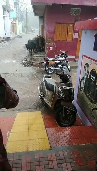 खंडवा में ओला वृष्टि, शाम 5 30 बजे भारी बारिश के साथ गिरे ओले