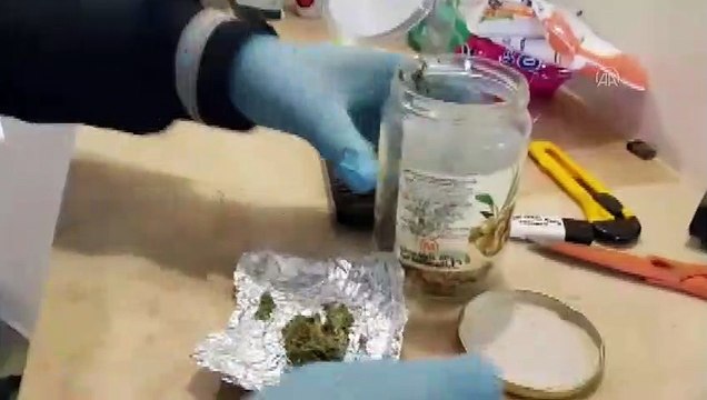 Klasik müzik eşliğinde Hint keneviri yetiştirmişler - ANTALYA