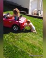 Funniest Siblings and Baby Playing Fails