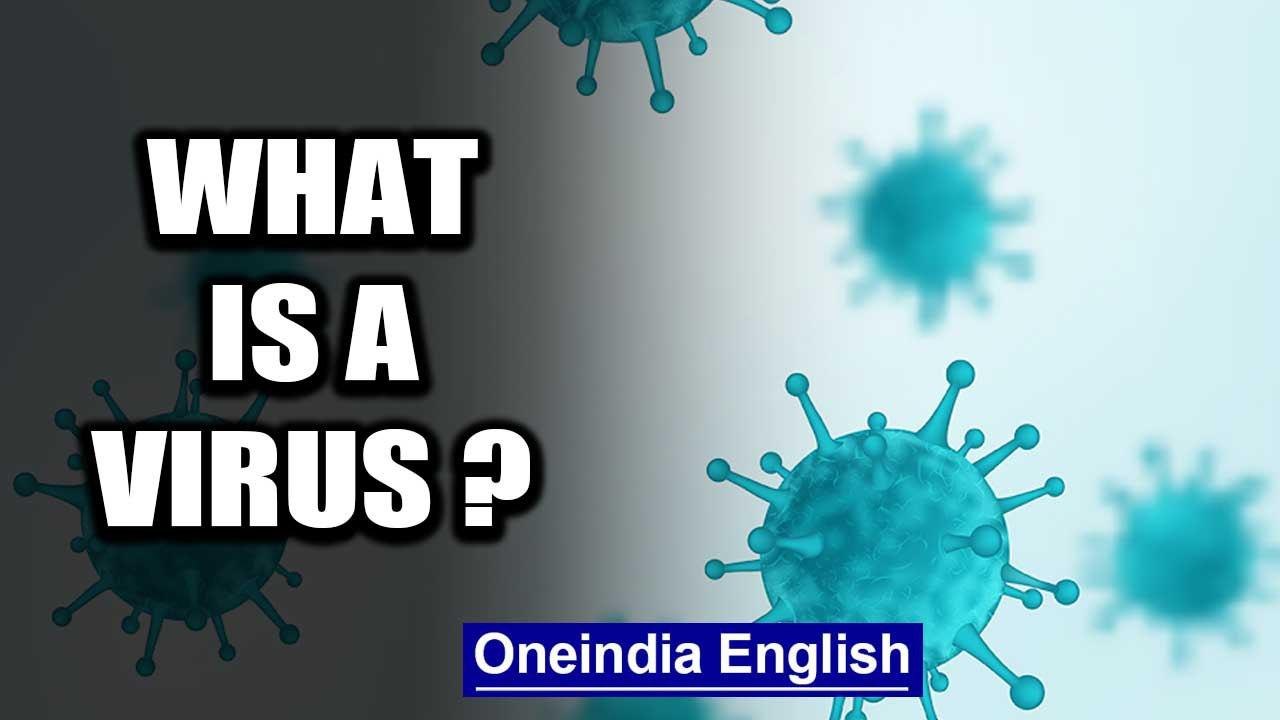 What is a virus, why do they infect us and are they even alive? | Oneindia News