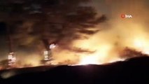 Manavgat’ta orman yangını...2 dönüm orman ve 1 dönümlük tarla yandı