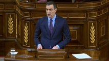 Sánchez comparece en el Pleno ante un Congreso casi vacío