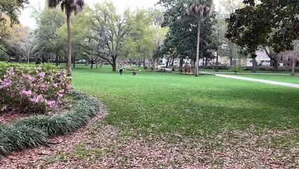 Popular park empty as amid COVID-19 concerns