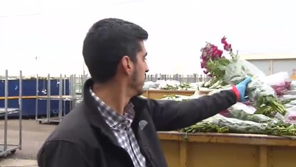 El sector de la flor cortada se enfrenta a la ruina