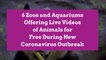 6 Zoos and Aquariums Offering Live Videos of Animals for Free During New Coronavirus Outbreak