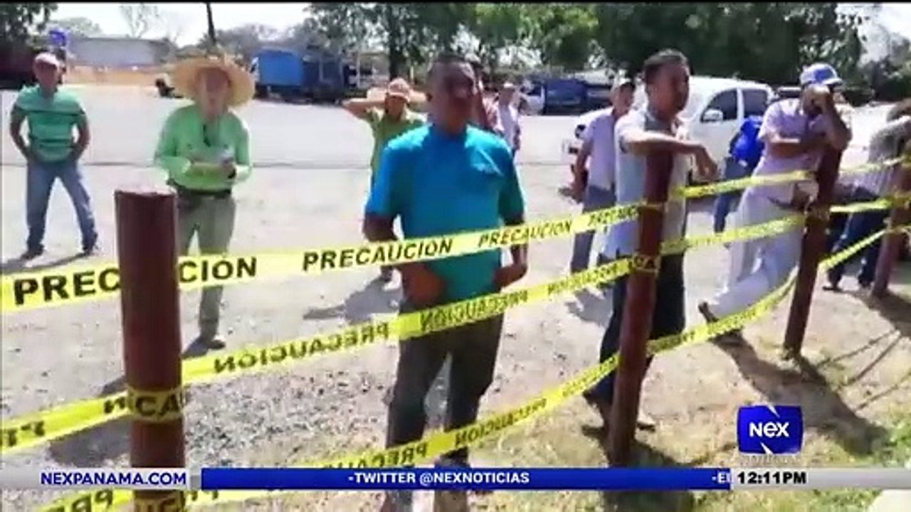 Subasta ganadera se ha visto afectada por no cumplir medidas - Nex Noticias