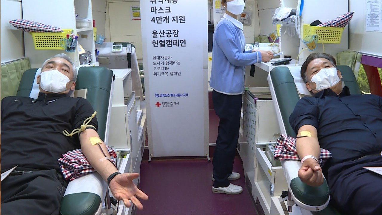 [기업] 현대차 임직원 천 명 단체헌혈...캠페인 모레까지 연장 / YTN