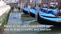 Venice canals clearer due to lack of tourists and traffic