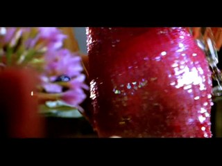 "Bebo" — Anu Malik, Anvita Dutt Guptan, Alisha Chinoi | (From "Kambakkht Ishq!" — (Film 2009)) — Akshay Kumar / Kareena Kapoor | Indian Song | Magic | Bollywood | COLLECTOR EDITION | भाषा हिंदी | बॉलीवुड की सबसे अच्छी